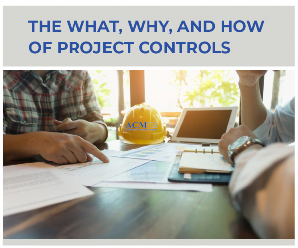 Training for What, Why, and How of Project Controls