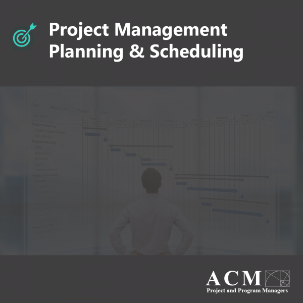 Lunch and Learn Webinar. Project Management Planning & Scheduling, Project Managers Professional Development, Ann Arbor, North Carolina, Ohio